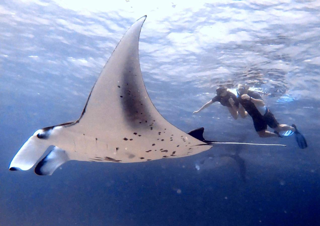 ホテル White Tern Maldives Maamigili エクステリア 写真