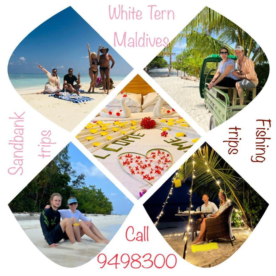 ホテル White Tern Maldives Maamigili エクステリア 写真