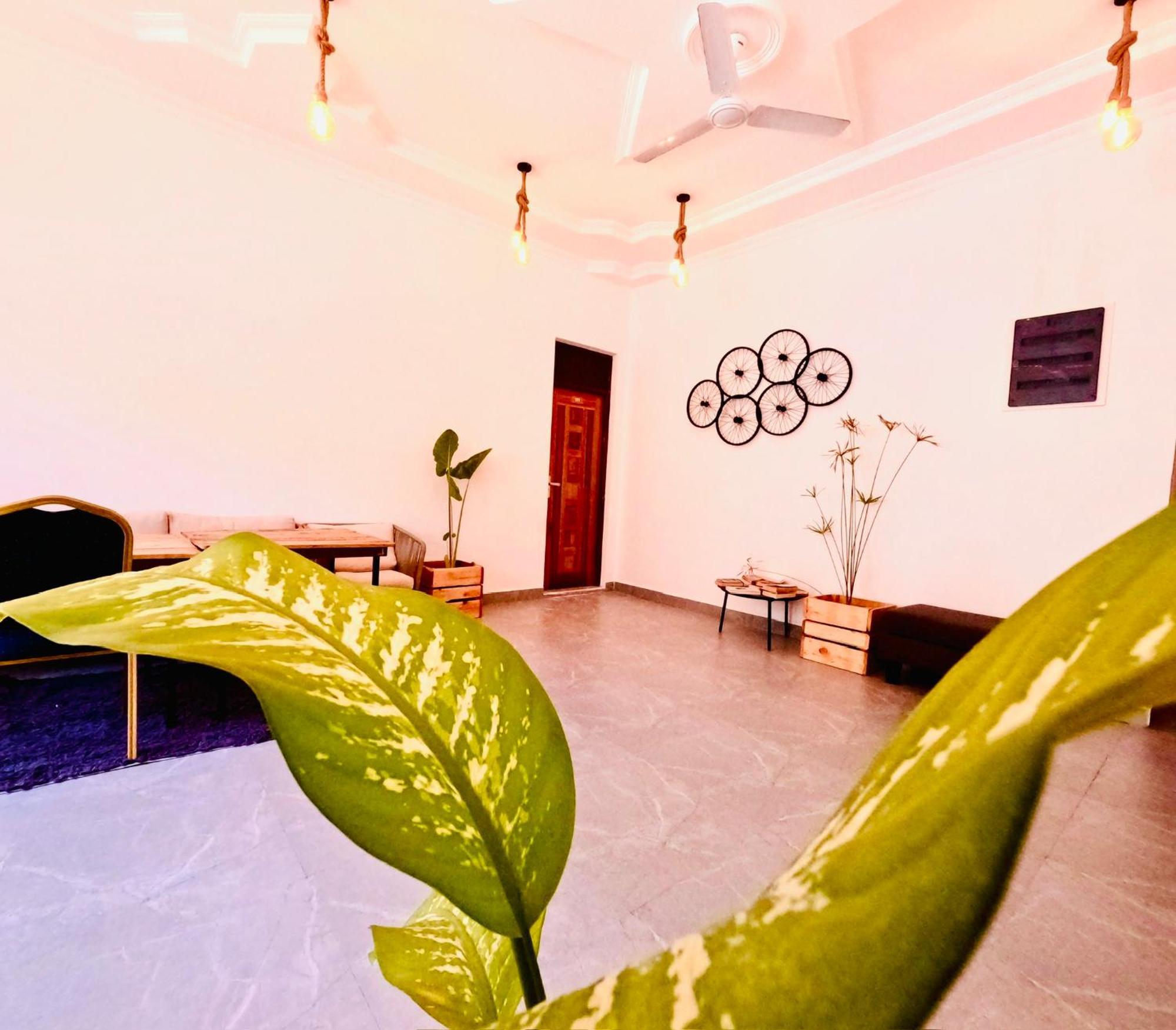 ホテル White Tern Maldives Maamigili エクステリア 写真