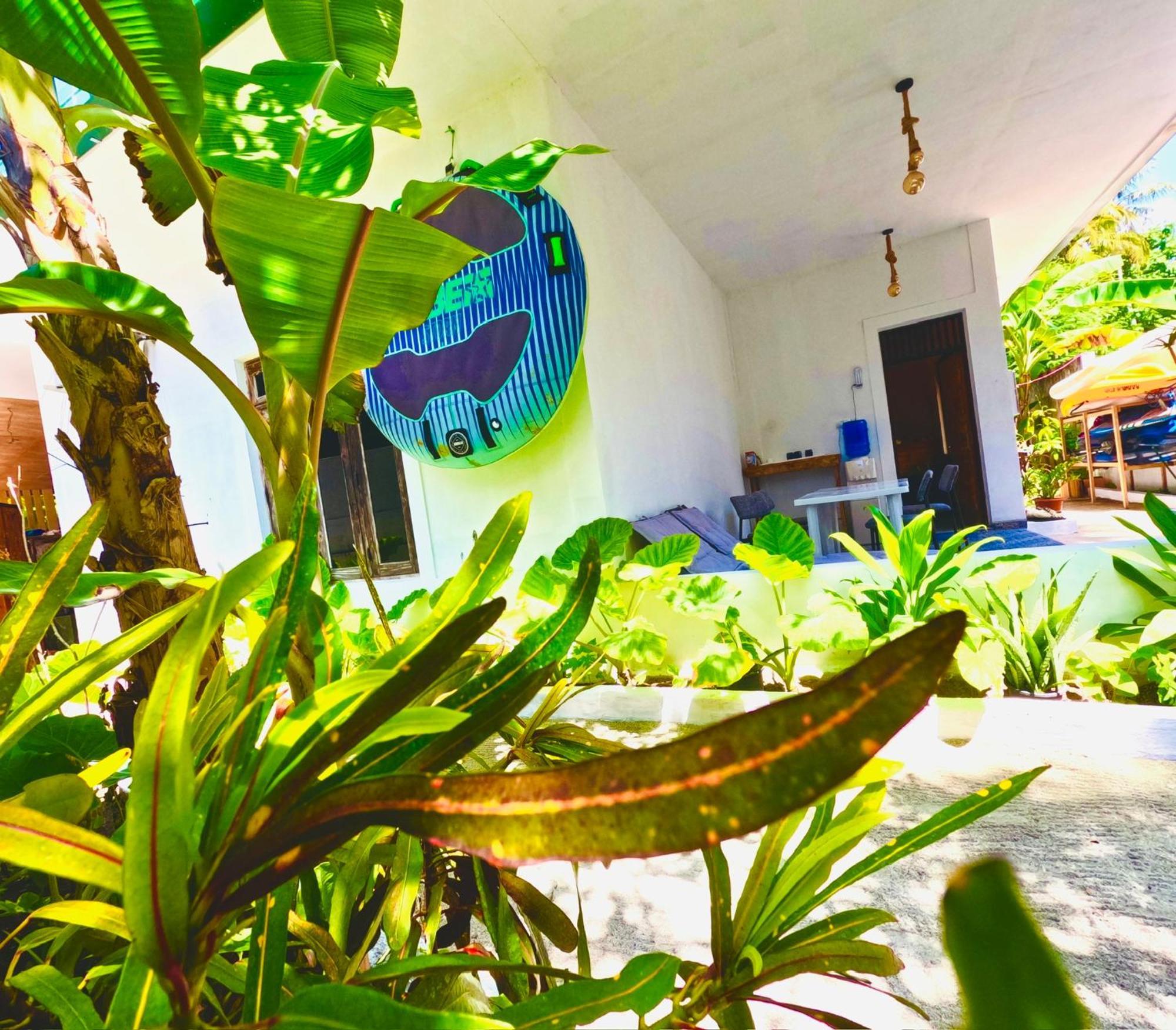 ホテル White Tern Maldives Maamigili エクステリア 写真